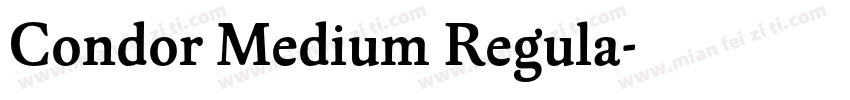 Condor Medium Regula字体转换